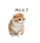 猫好きのリアル猫BIG①（個別スタンプ：26）