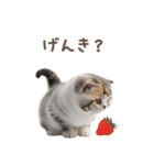 猫好きのリアル猫BIG①（個別スタンプ：30）