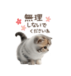 猫好きのリアル猫BIG①（個別スタンプ：32）