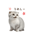猫好きのリアル猫BIG①（個別スタンプ：38）