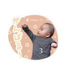 しゅたんぷ  ①（個別スタンプ：12）