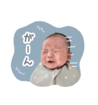 しゅたんぷ  ①（個別スタンプ：25）