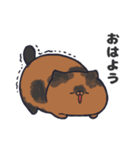 サンプルねこ4（個別スタンプ：1）