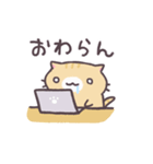 社会でがんばるねこ（個別スタンプ：8）