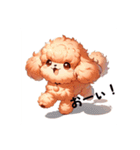 可愛い「トイプードル」のLINEスタンプ（個別スタンプ：12）