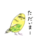 カラー別セキセイインコ達のあいさつ（個別スタンプ：8）