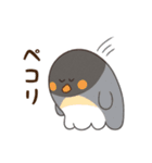 もちゅもちゅなペンギン（個別スタンプ：15）