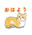 Neko-2（個別スタンプ：1）