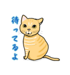 Neko-2（個別スタンプ：9）