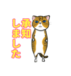 Neko-2（個別スタンプ：13）