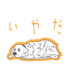 Dog Routine！ Stickers 【修正版】（個別スタンプ：24）