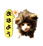 うちのニャンズ日常会話 猫（個別スタンプ：1）