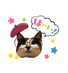 うちのニャンズ日常会話 猫（個別スタンプ：12）