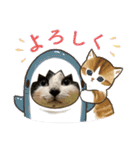 うちのニャンズ日常会話 猫（個別スタンプ：13）