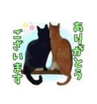 うちのニャンズ日常会話 猫（個別スタンプ：22）