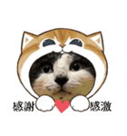 うちのニャンズ日常会話 猫（個別スタンプ：23）