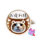 うちのニャンズ日常会話 猫（個別スタンプ：27）