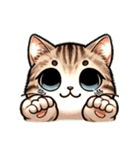 仔猫ムギにゃんのLINEスタンプ（個別スタンプ：3）