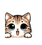 仔猫ムギにゃんのLINEスタンプ（個別スタンプ：4）