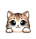 仔猫ムギにゃんのLINEスタンプ（個別スタンプ：5）