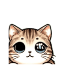 仔猫ムギにゃんのLINEスタンプ（個別スタンプ：6）