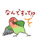 オパーリンコザクラインコ（個別スタンプ：5）