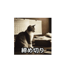 仕事猫 あいさつ（個別スタンプ：6）