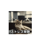 仕事猫 あいさつ（個別スタンプ：34）