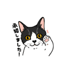 ねこまみれ（ゆるっと敬語・多め）（個別スタンプ：2）