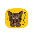 ねこまみれ（ゆるっと敬語・多め）（個別スタンプ：3）