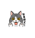 ねこまみれ（ゆるっと敬語・多め）（個別スタンプ：4）