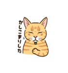 ねこまみれ（ゆるっと敬語・多め）（個別スタンプ：7）