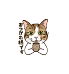 ねこまみれ（ゆるっと敬語・多め）（個別スタンプ：8）