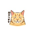 ねこまみれ（ゆるっと敬語・多め）（個別スタンプ：9）