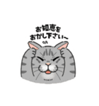 ねこまみれ（ゆるっと敬語・多め）（個別スタンプ：18）