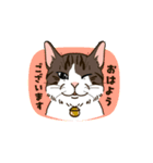 ねこまみれ（ゆるっと敬語・多め）（個別スタンプ：21）