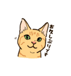 ねこまみれ（ゆるっと敬語・多め）（個別スタンプ：23）