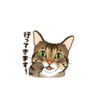 ねこまみれ（ゆるっと敬語・多め）（個別スタンプ：25）