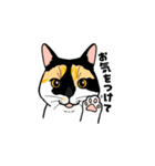 ねこまみれ（ゆるっと敬語・多め）（個別スタンプ：26）