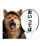 犬ミームで遊ぼう。（個別スタンプ：17）