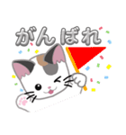 三毛猫ミミ（個別スタンプ：12）