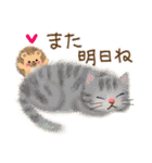 猫さんいっぱいセット♡（個別スタンプ：20）