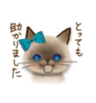 猫さんいっぱいセット♡（個別スタンプ：24）