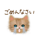 猫さんいっぱいセット♡（個別スタンプ：28）