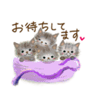 猫さんいっぱいセット♡（個別スタンプ：31）