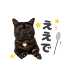 黒猫ちゃん関西弁＆猫語、毎日スタンプ（個別スタンプ：4）