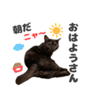 黒猫ちゃん関西弁＆猫語、毎日スタンプ（個別スタンプ：9）