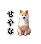 関西弁でなんか言ってる柴犬（個別スタンプ：5）