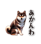 関西弁でなんか言ってる柴犬（個別スタンプ：9）