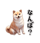 関西弁でなんか言ってる柴犬（個別スタンプ：20）